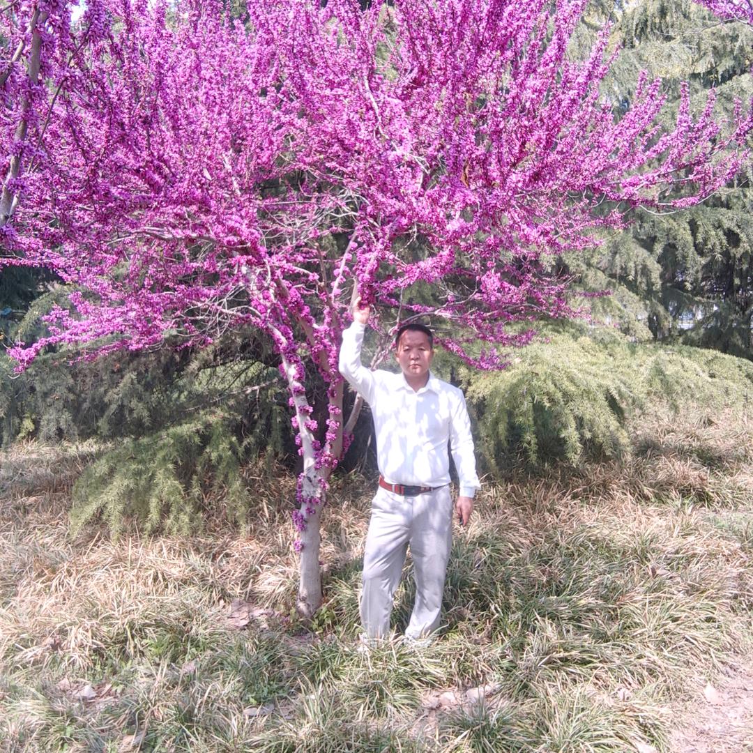 手握日月摘星辰。