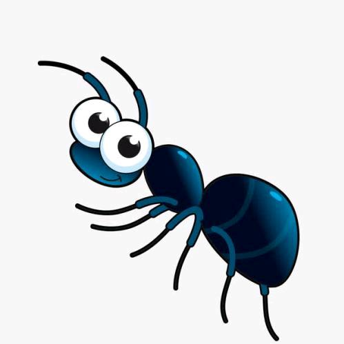 奔跑的蚂蚁🐜