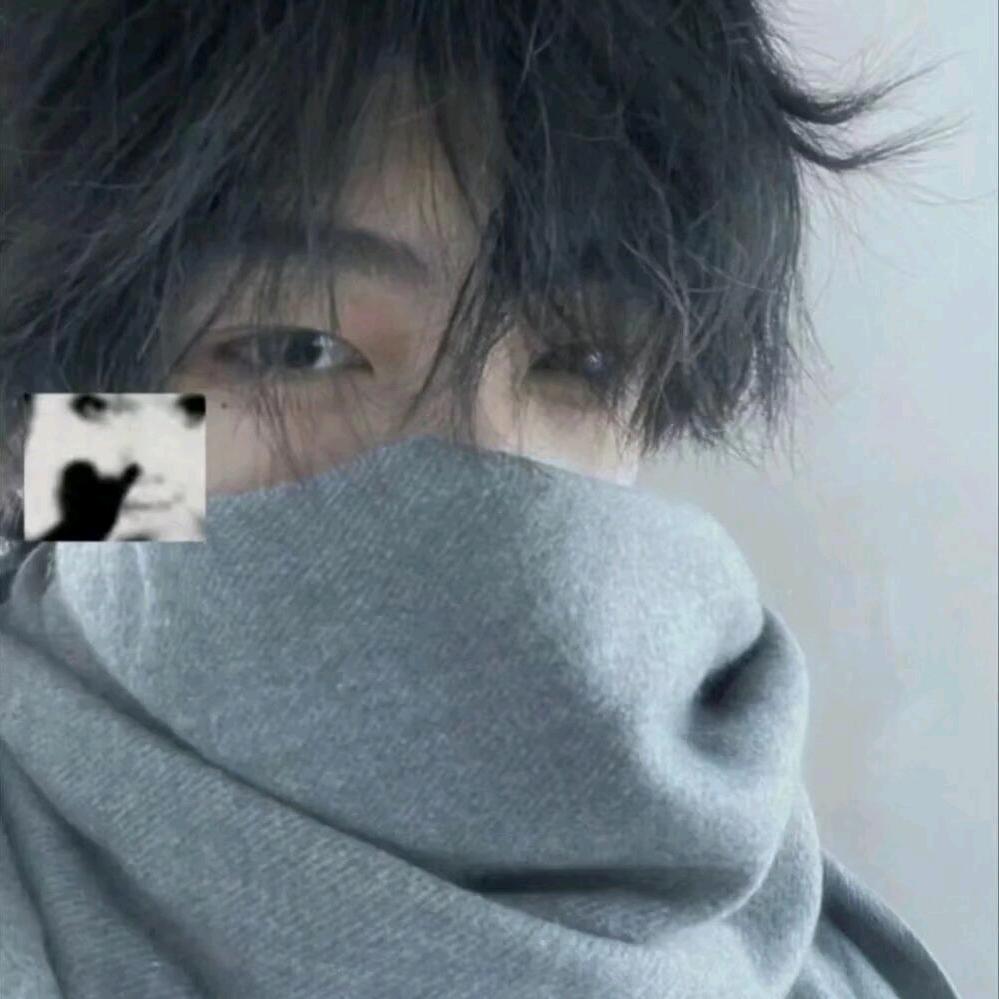 爱吃火鸡面的懒人