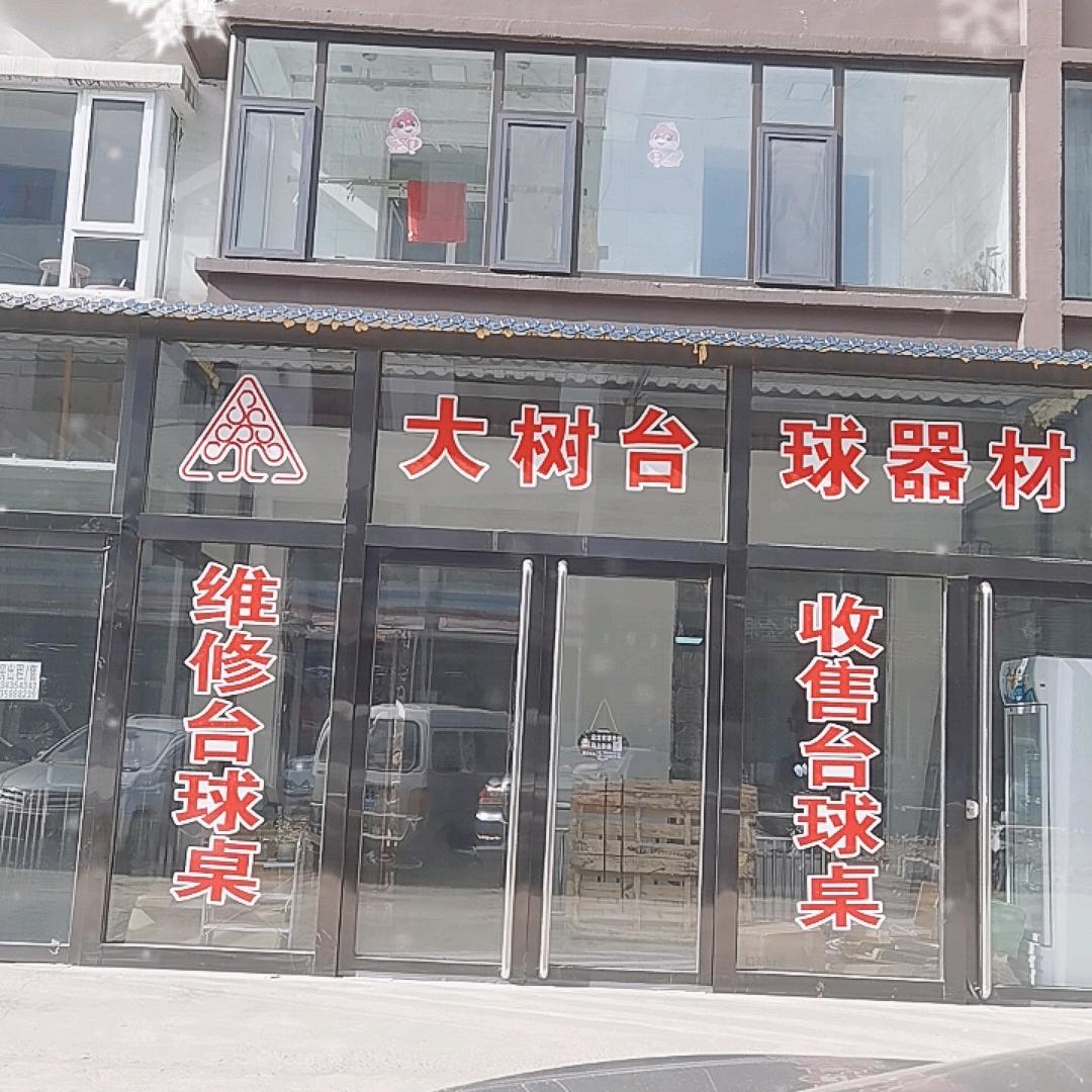吕梁离石大树台球器材