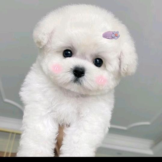 爱你的心。❤❤