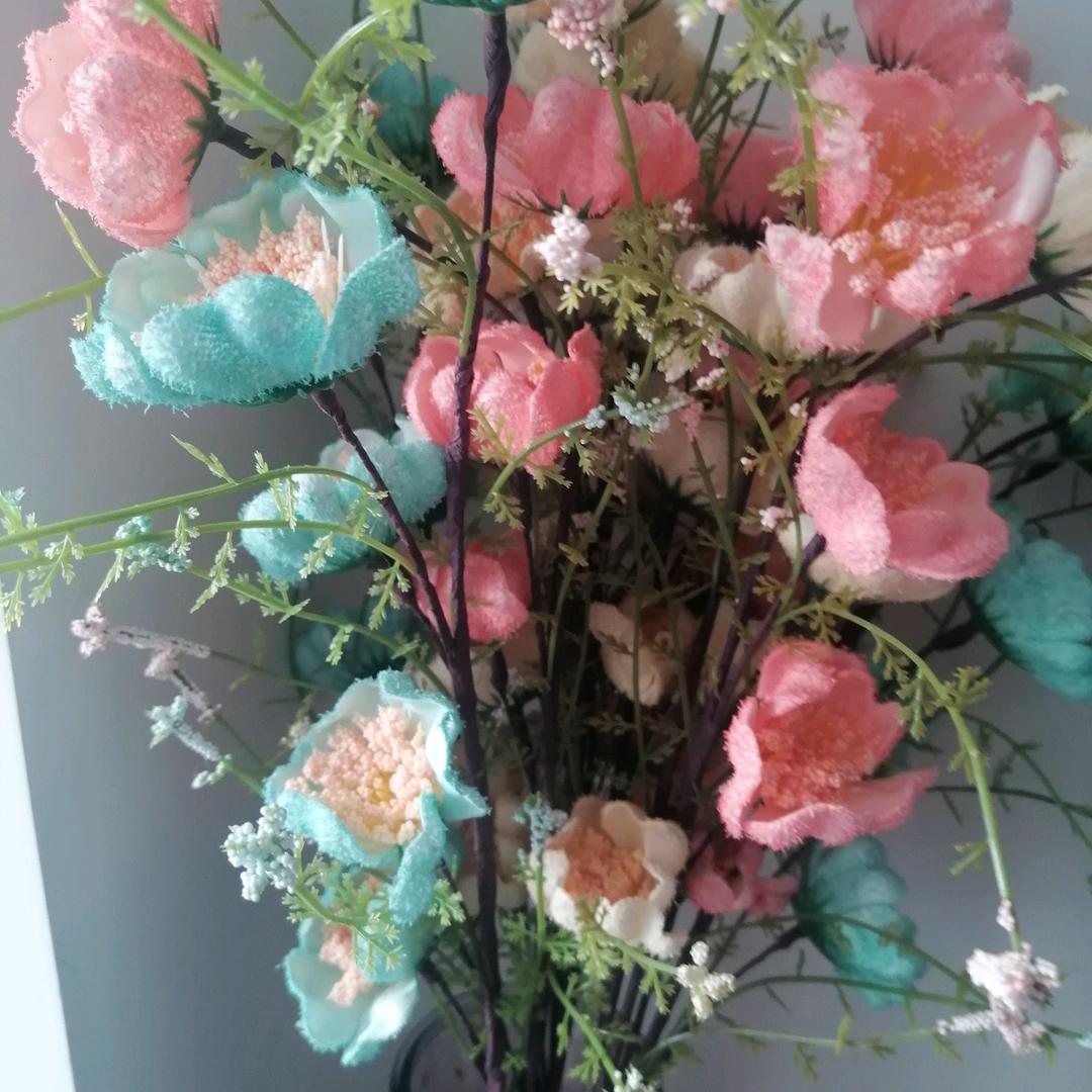 静待花开💐