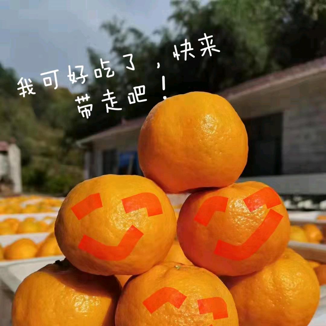 柑柑姐