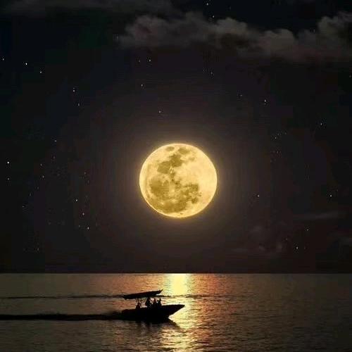 摇摆哥^（星耀大队）