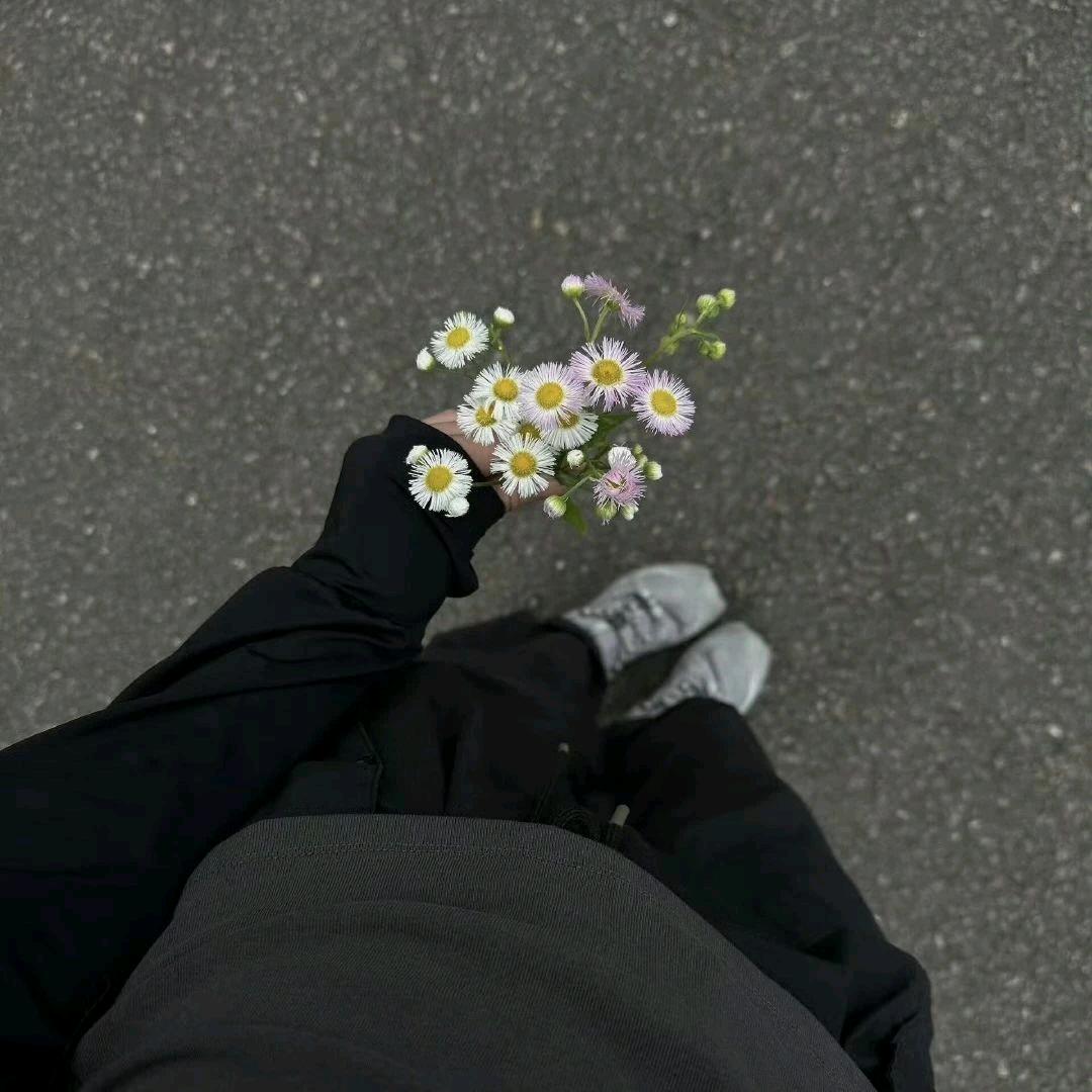 欢兮