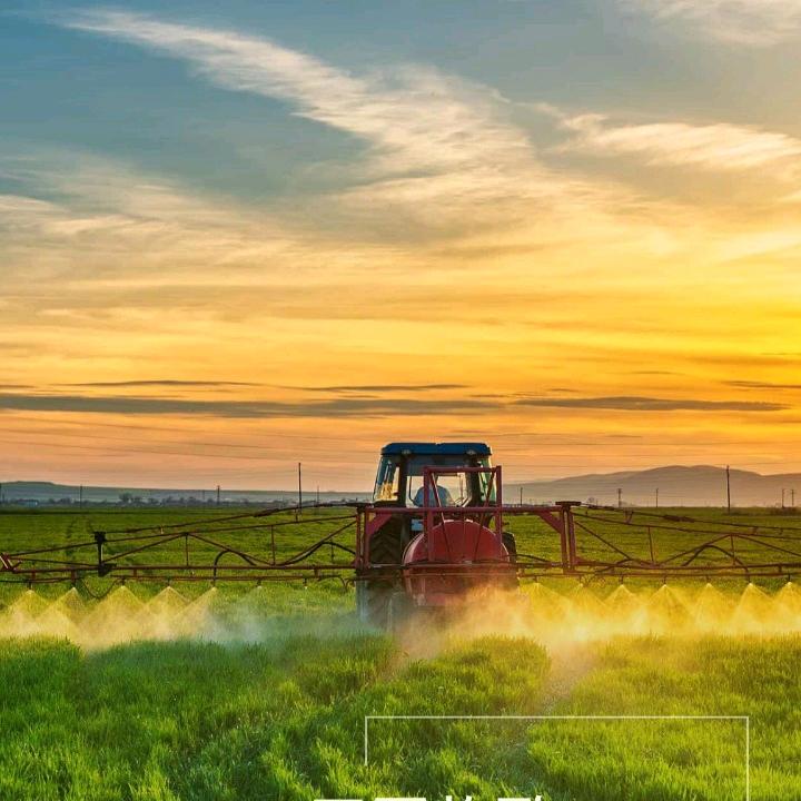 遇见星星的旅程