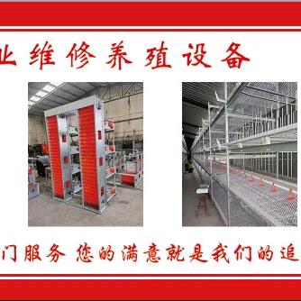 维修鸡鸭养殖设备