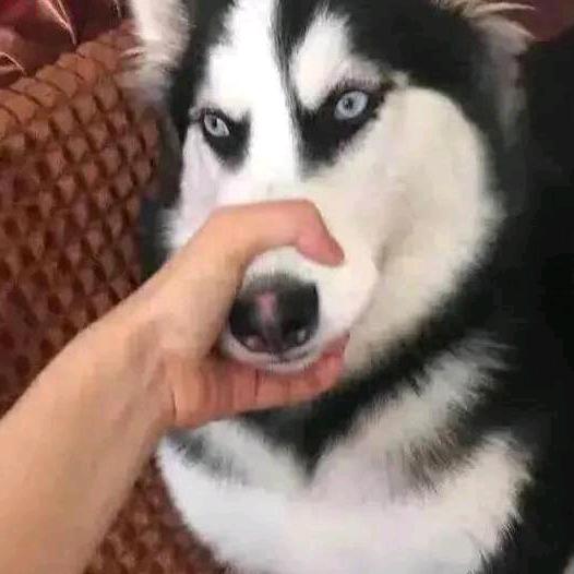 絶絆敗頪