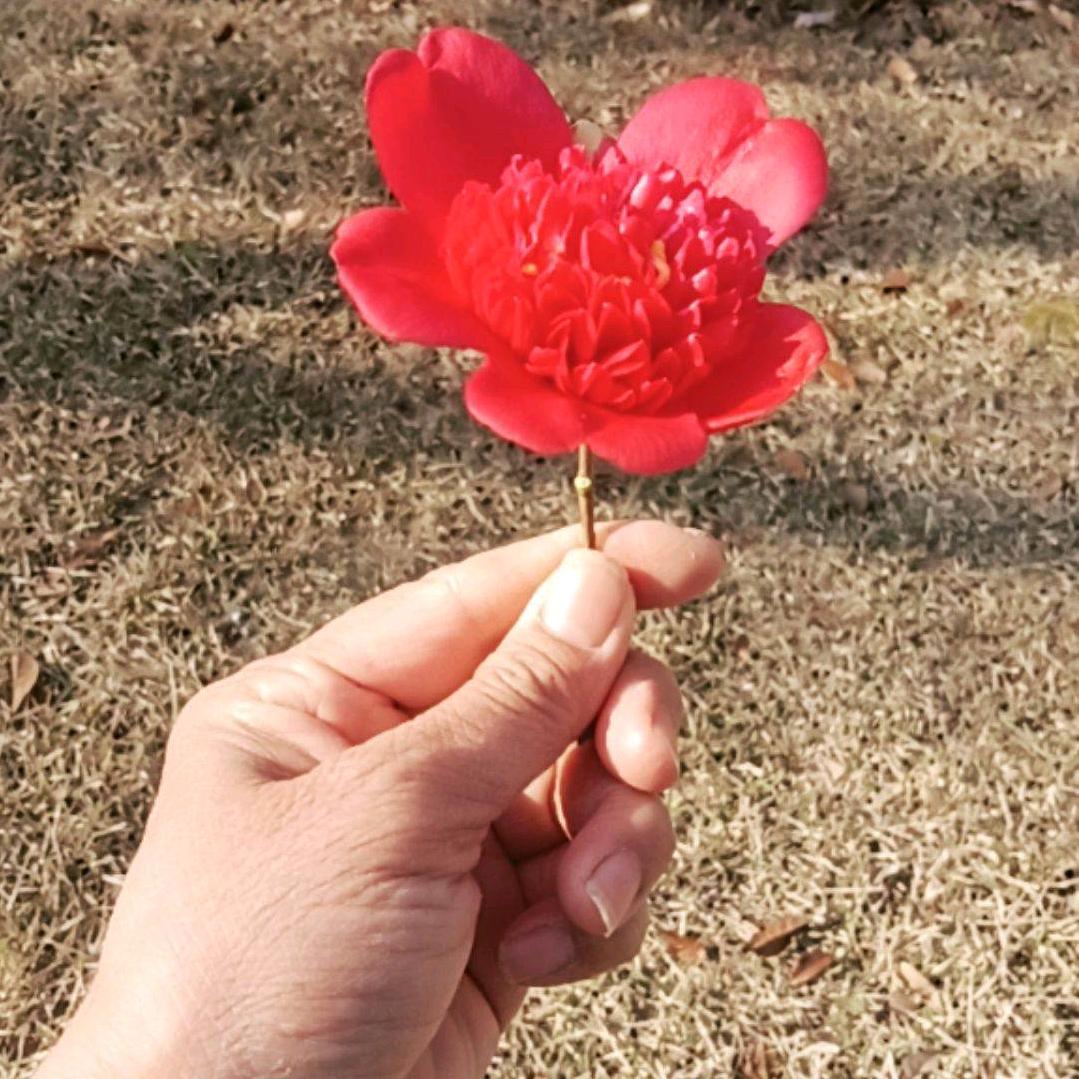 幸运女神