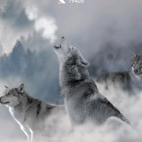 冰雪世界👊