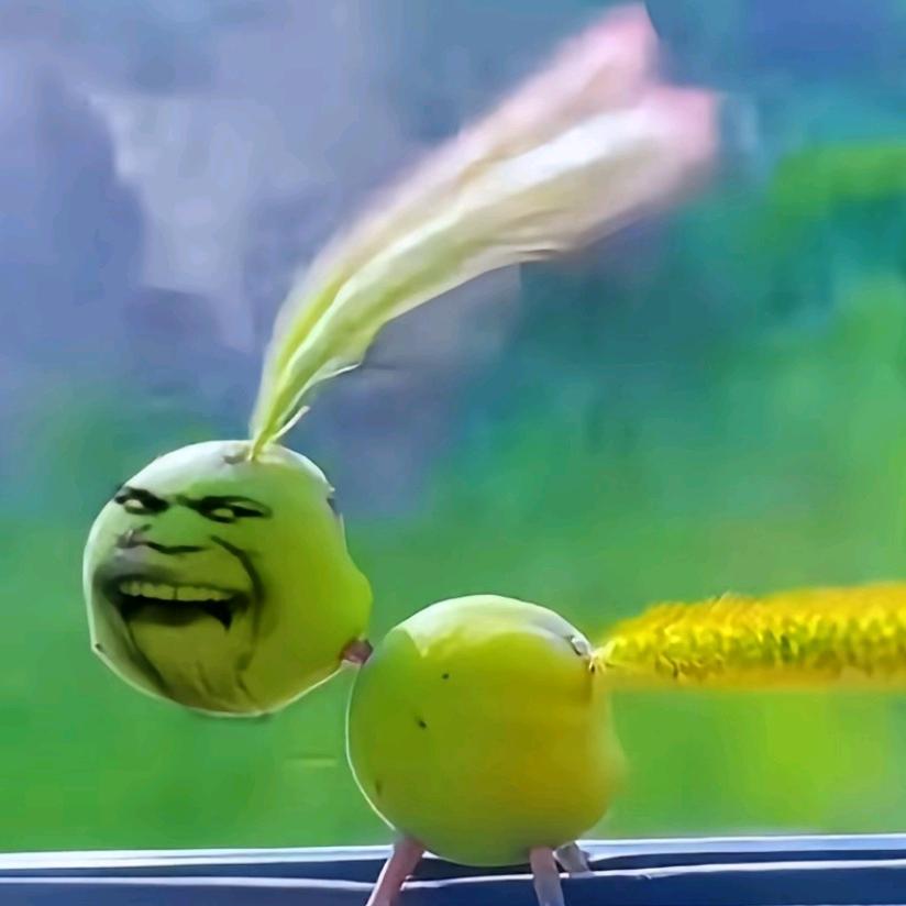 哈哈