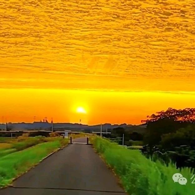 左修齐（品自高）