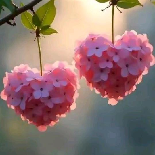 平常❤心