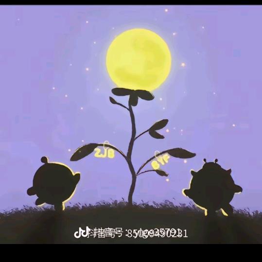 罗俣宸
