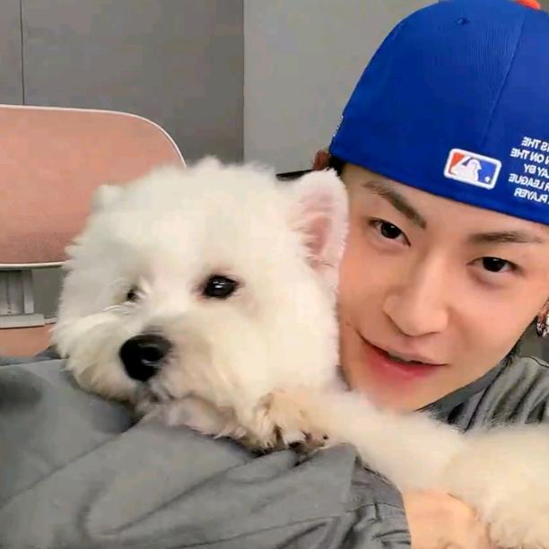 番茄多汁超喜番🍅