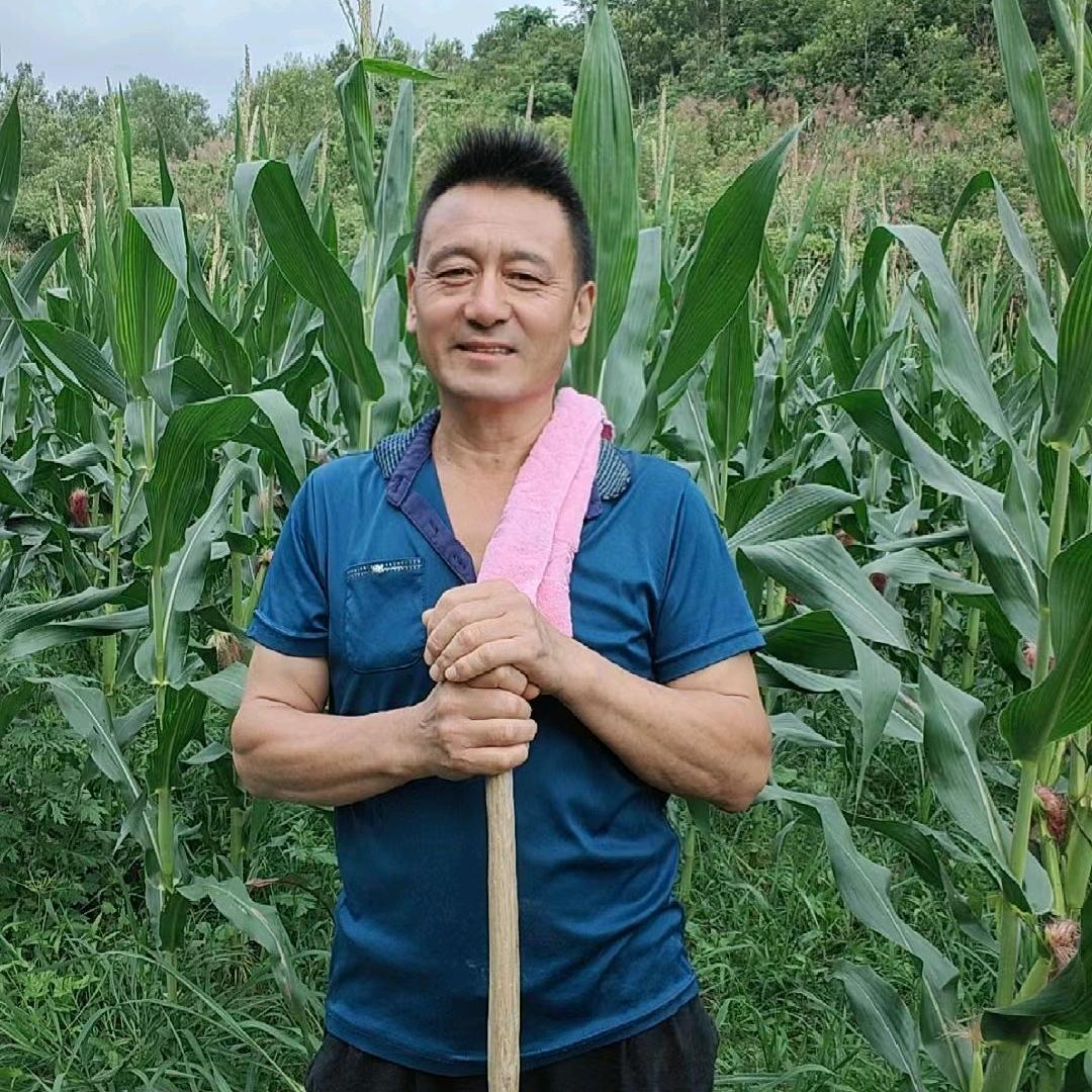 叶火火  早上  6点28分开播