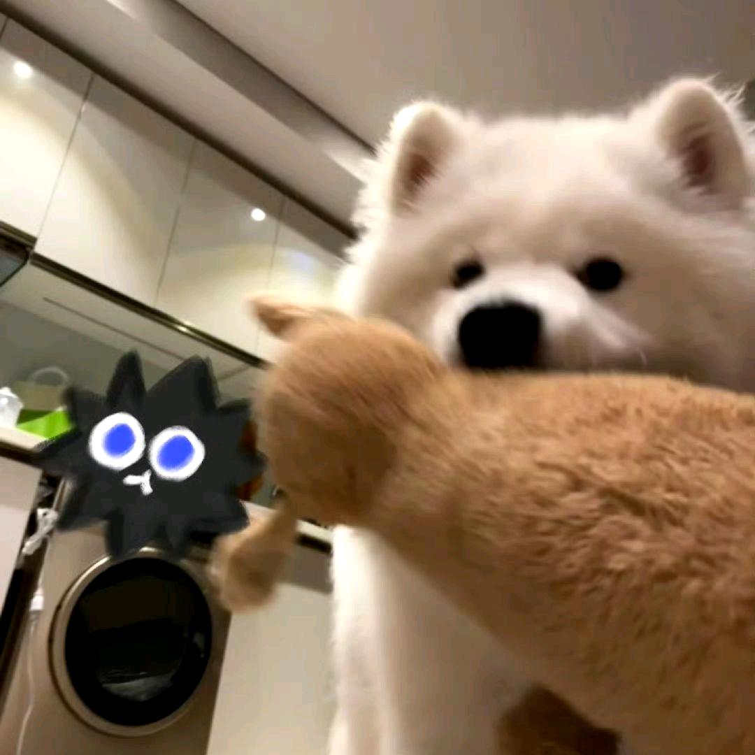 养生康康