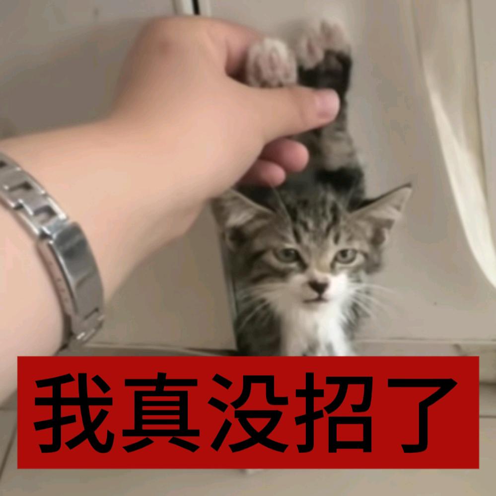 我招还不行吗.