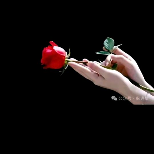 姐的性格你不懂🌹