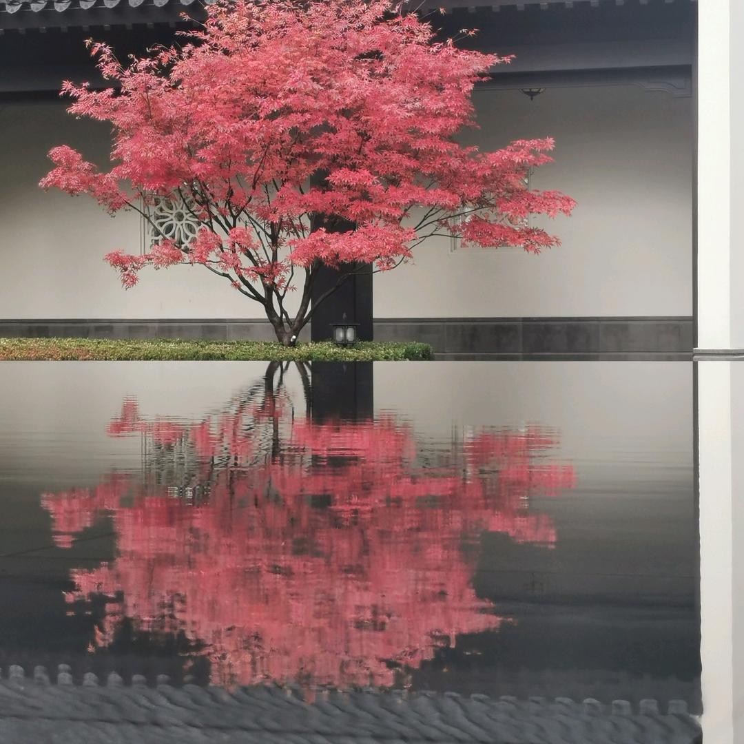 保定涞小憨好房