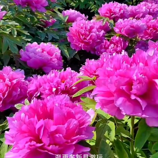 七零后