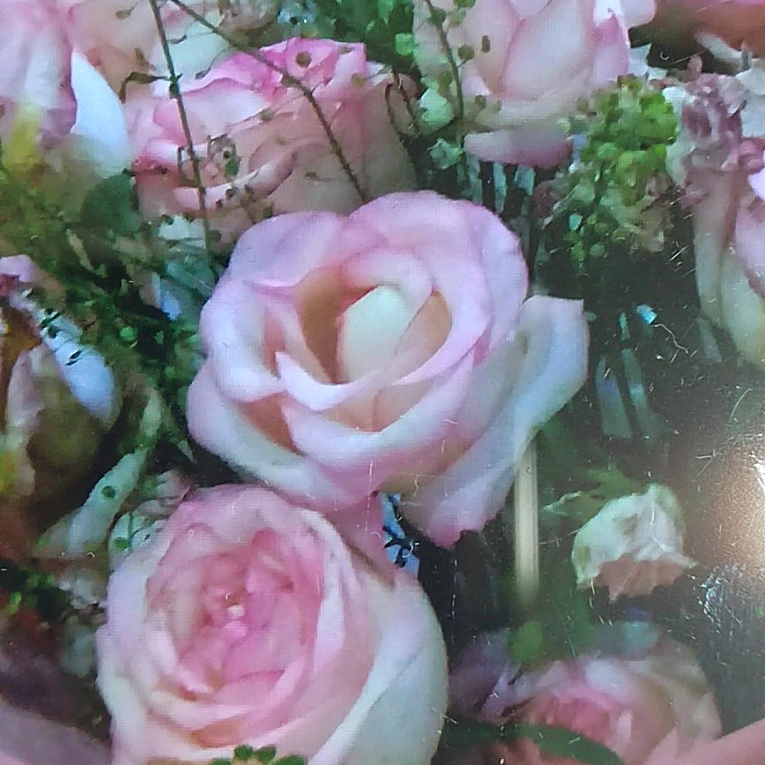 小燕