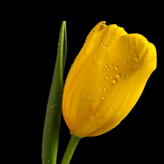 张兴龙416976900288