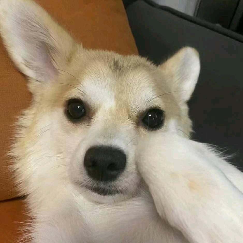 九九百宝箱