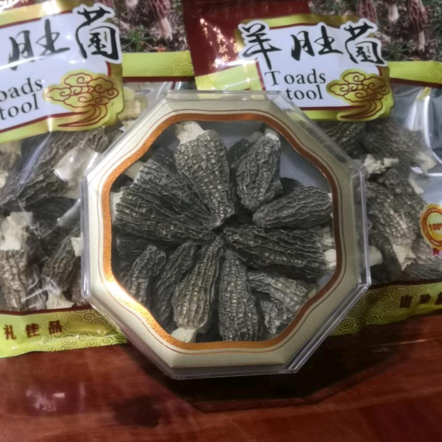 羊肚菌生态循环种植老罗