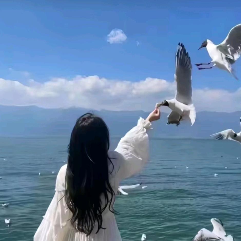 Amoヽ柠檬