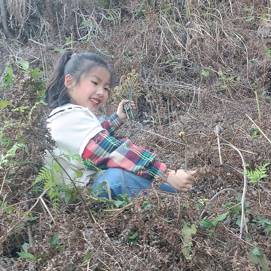 简单人生