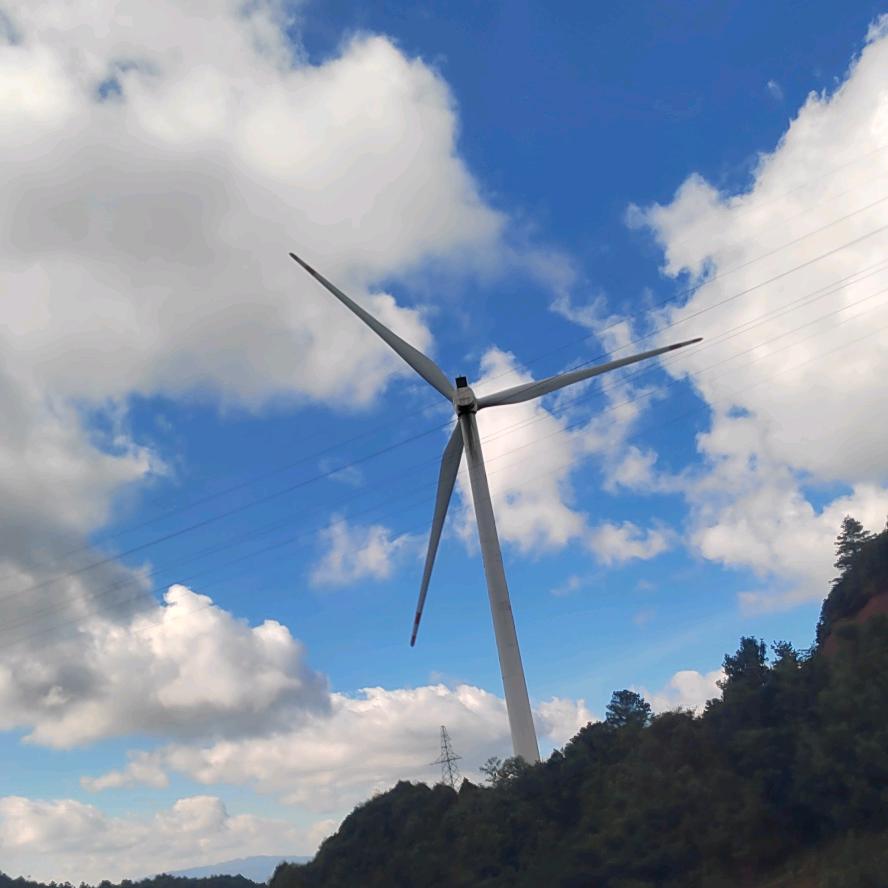 心里偷偷的想你