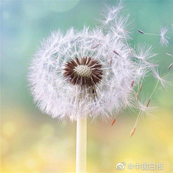 沐睦2024