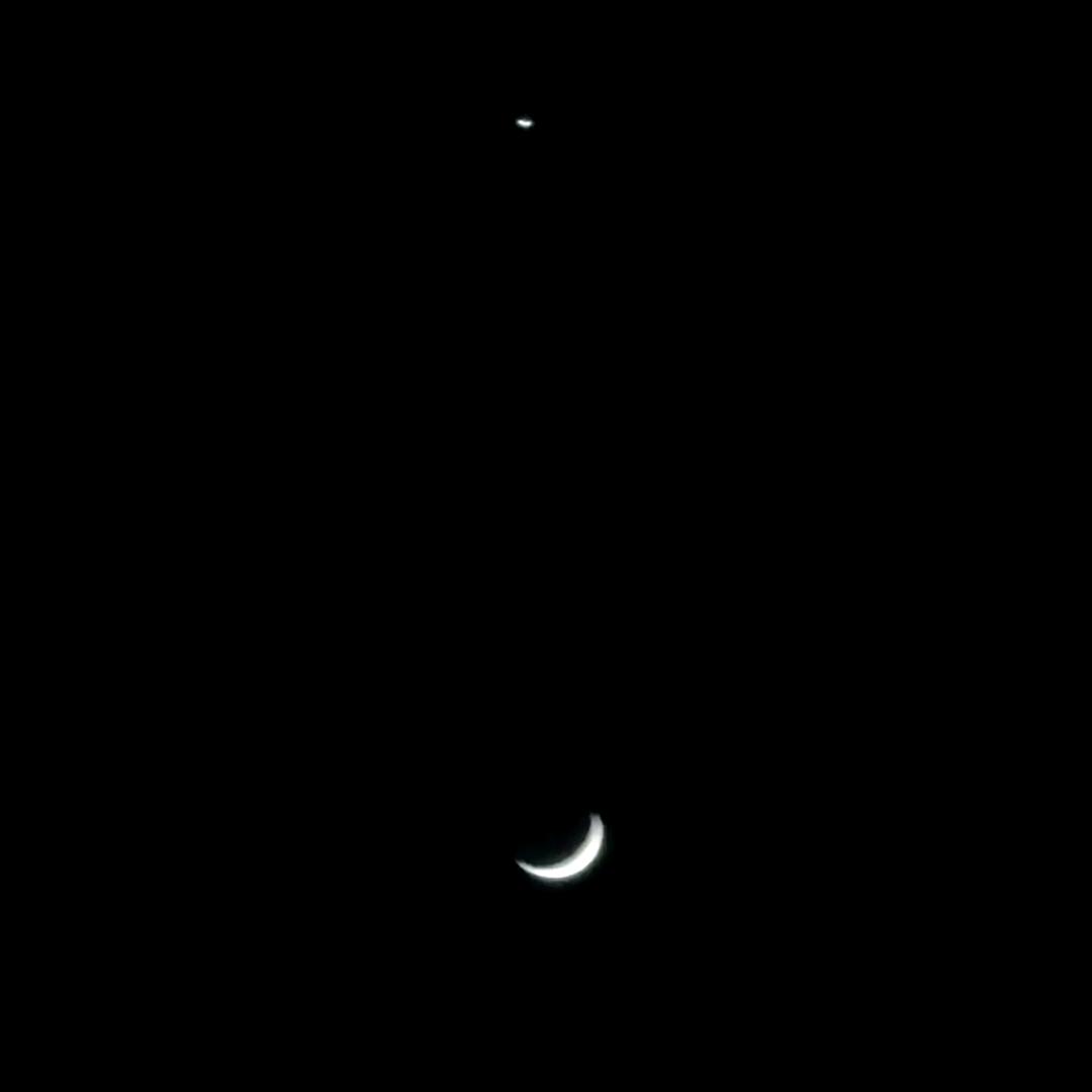 ✨🌙