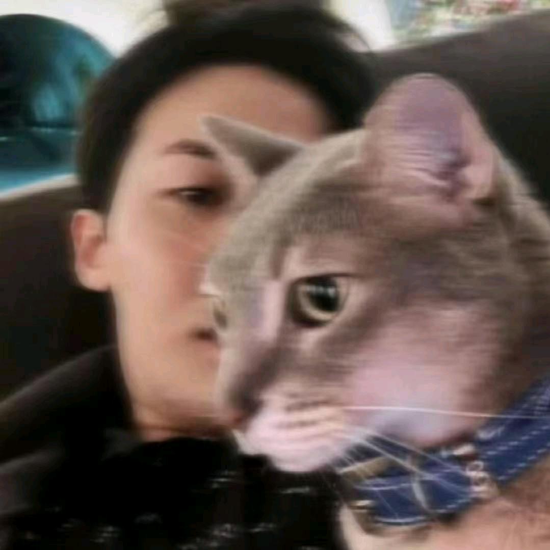 𝓤𝓷𝓲𝓬𝓸𝓻𝓷 ✨