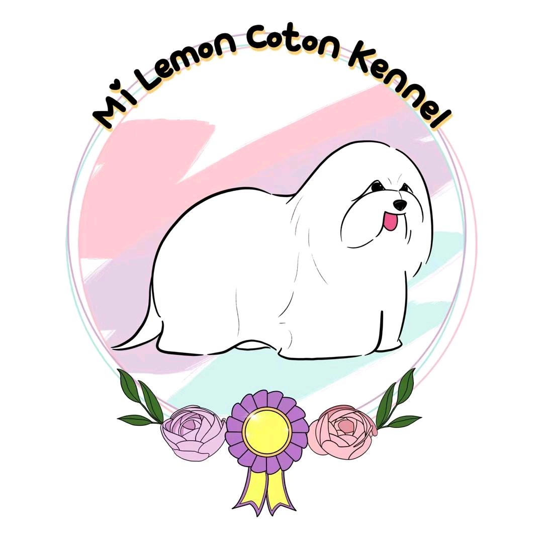 麦乐萌棉花面纱犬舍