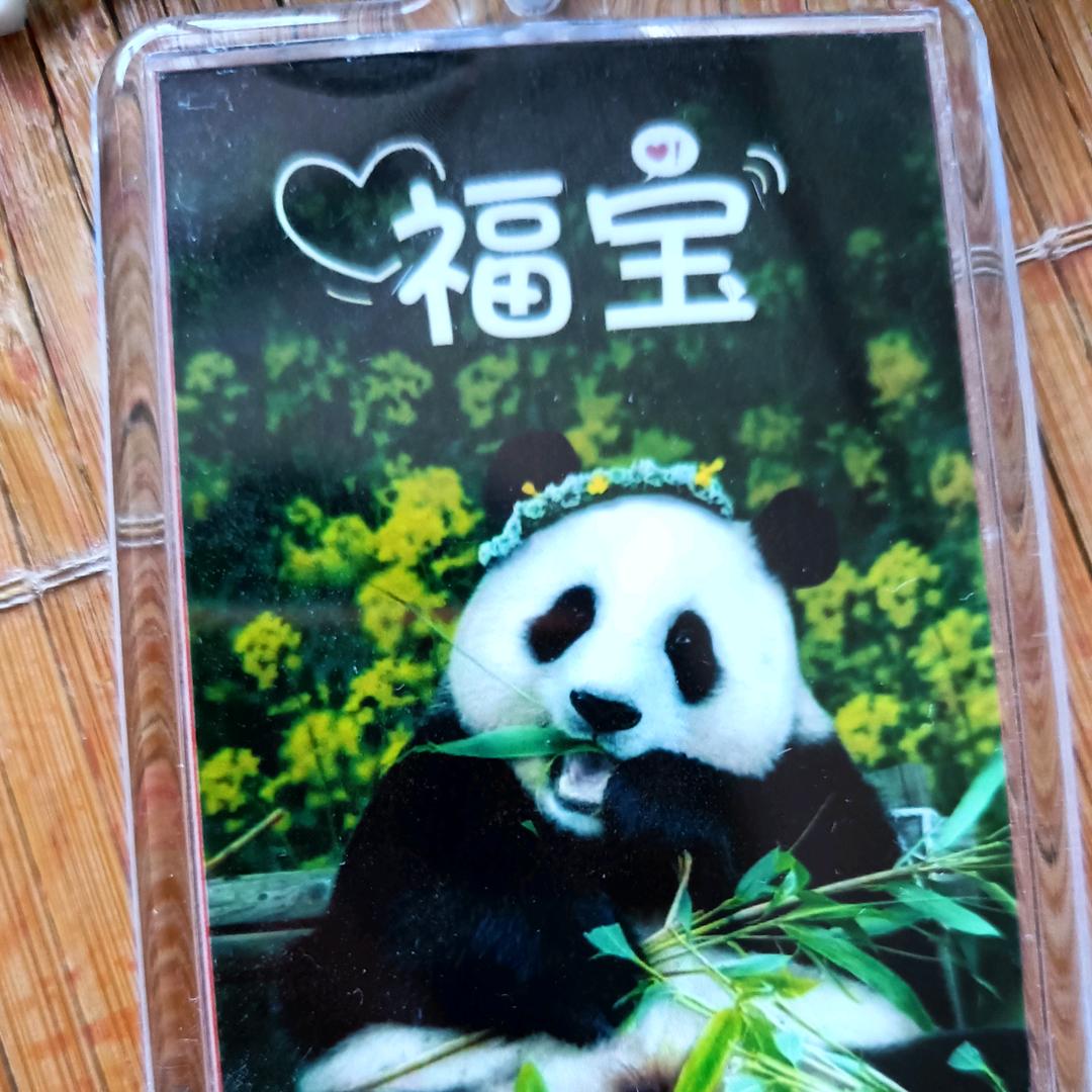 生活美好一天，又开始了