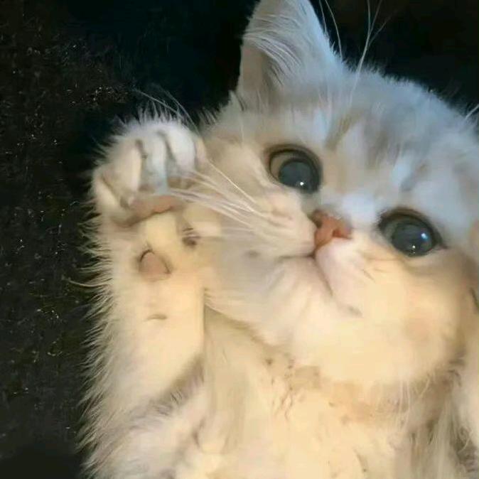 棒棒棒棒棒棒棒棒棒