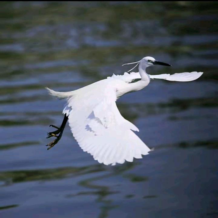 🍂((🍁靖哥🍁))🍂