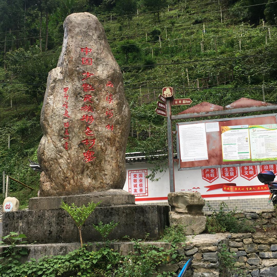 ⚜️强大自己⚜️