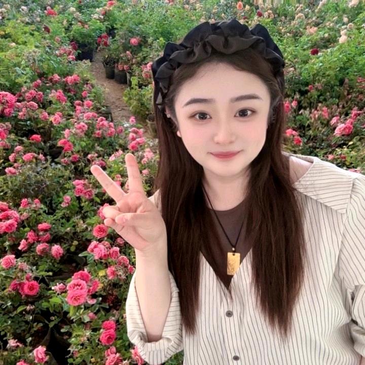 花屿你绿植