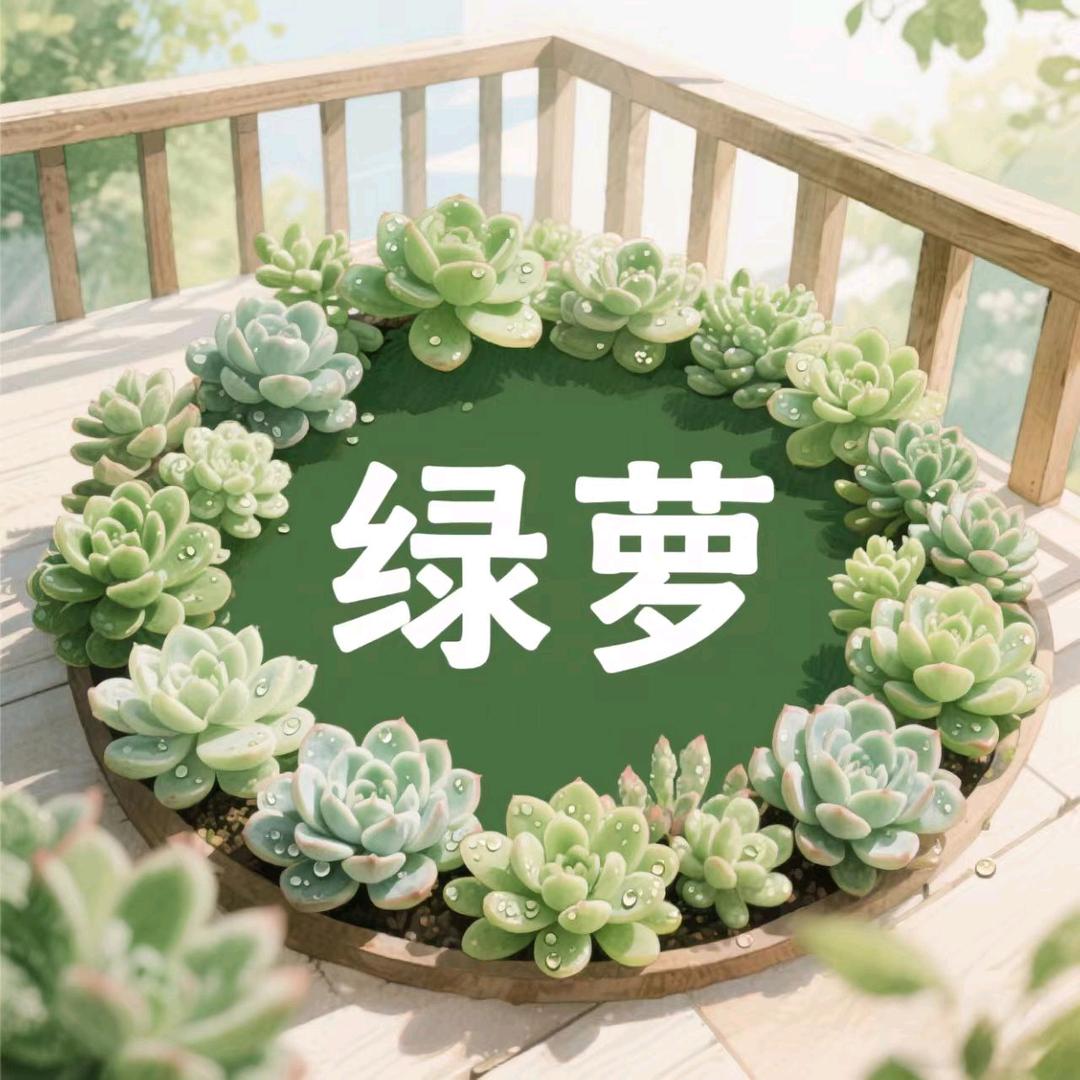 'এ᭄💜绿ོ萝ꦿృ