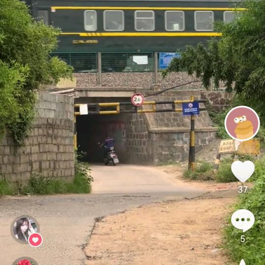 豫s砖家