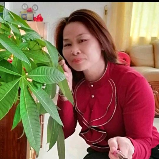 陈妹妹💃