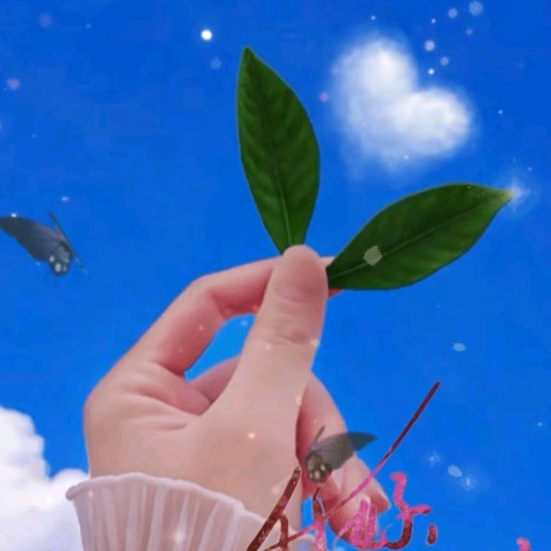 我是醋坛子