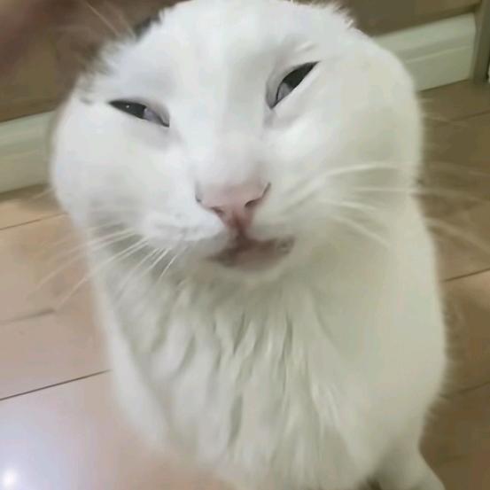 沈江楠.