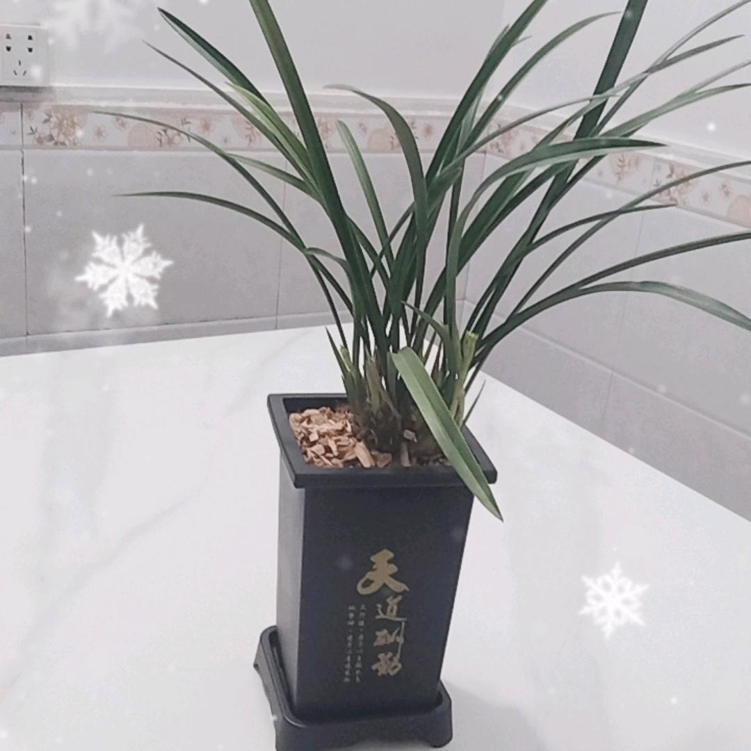 心一简单，人就快乐