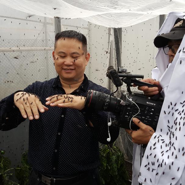 克迈拉生物