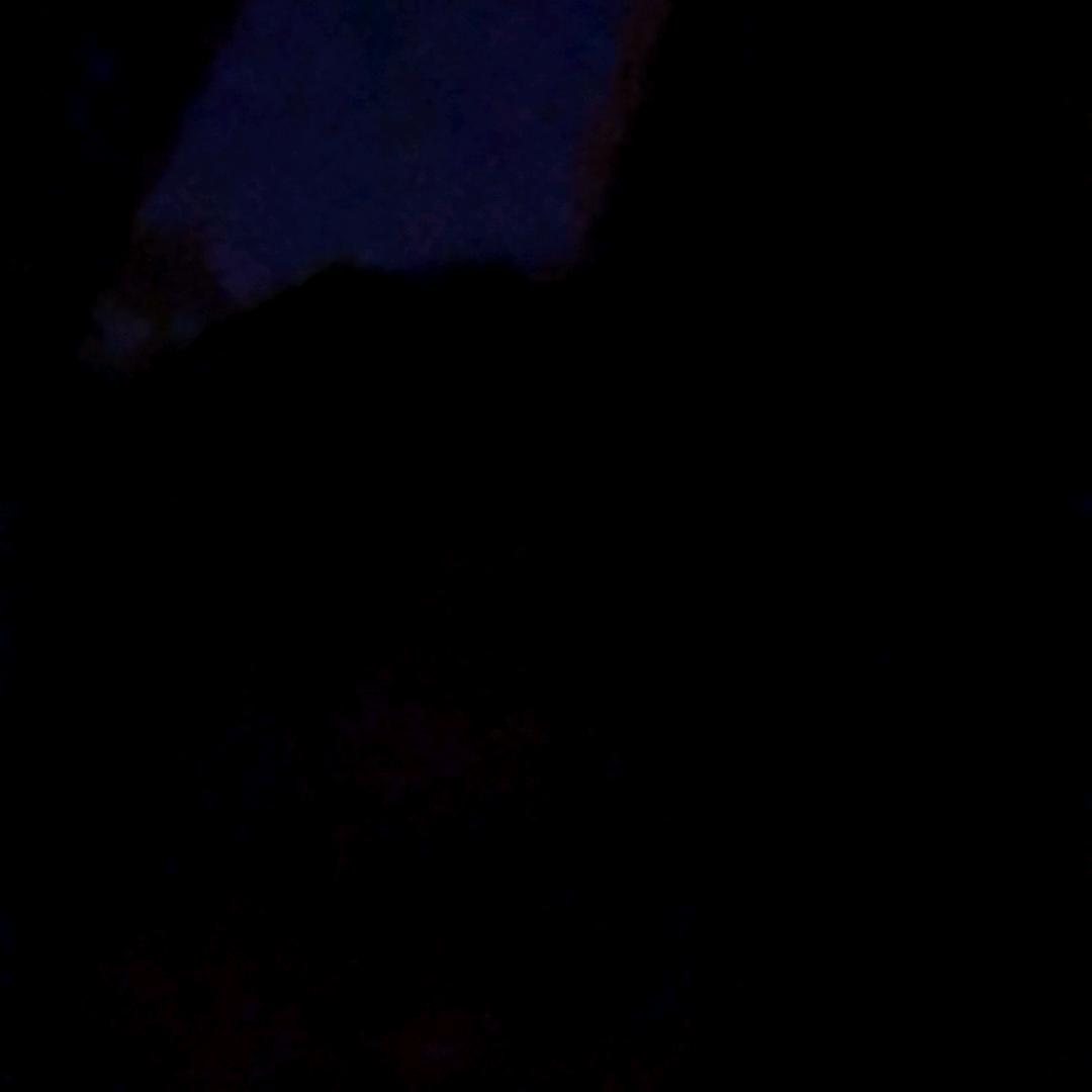 仲夏ㅤ