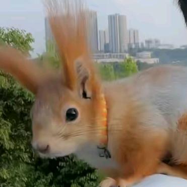 总之有点困
